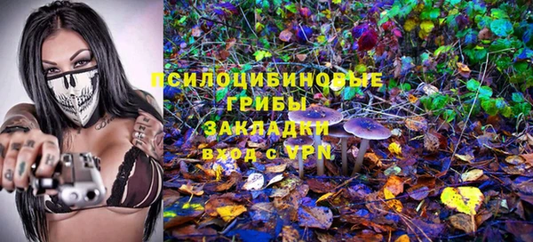 а пвп мука Алзамай