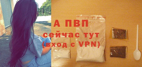 сатива Магадан